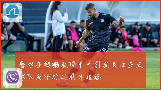普尔在鹈鹕表现平平引发关注多支球队或将对其展开追逐