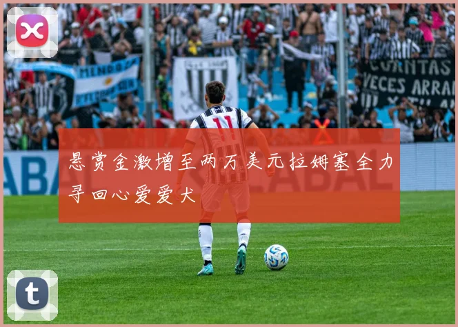 悬赏金激增至两万美元拉姆塞全力寻回心爱爱犬
