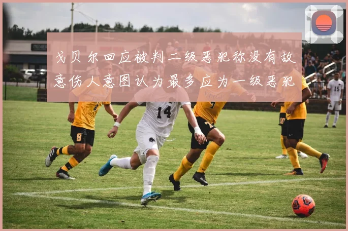 戈贝尔回应被判二级恶犯称没有故意伤人意图认为最多应为一级恶犯